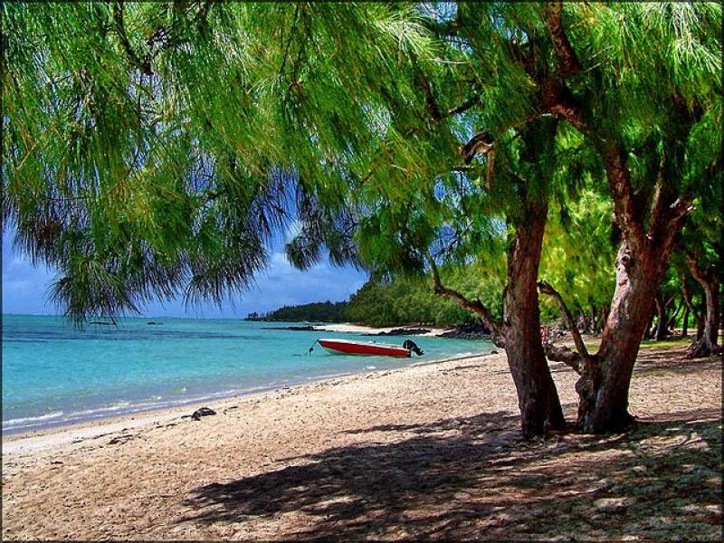 Découvrir 3 des plus belles plages de Maurice lors des vacances  