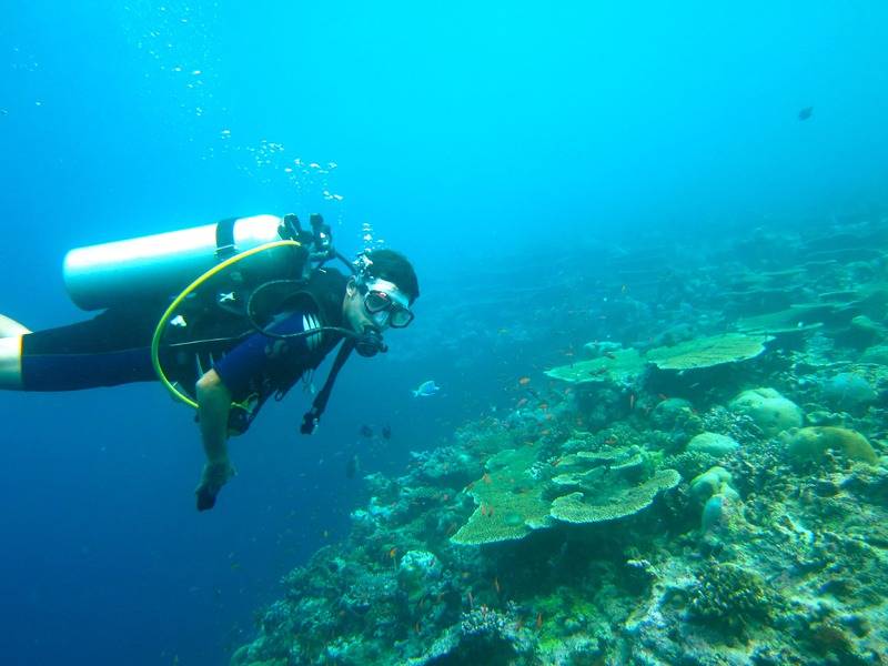 Les Maldives, la destination idéale pour faire de la plongée sous-marine
